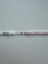 IMG_9902.jpeg IMG_9902.jpeg