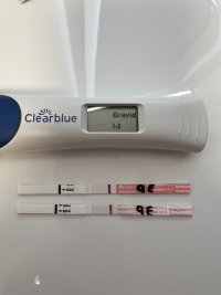 IMG_9919.jpeg IMG_9919.jpeg