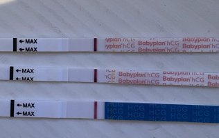 IMG_0229.jpeg IMG_0229.jpeg