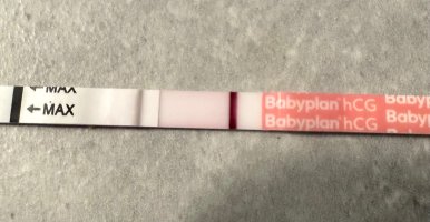 IMG_5797.jpeg IMG_5797.jpeg