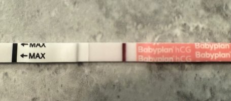 IMG_5783.jpeg IMG_5783.jpeg