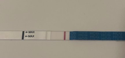 18206F1E-33B8-488D-8E0D-B2C761B4798F.jpeg 18206F1E-33B8-488D-8E0D-B2C761B4798F.jpeg