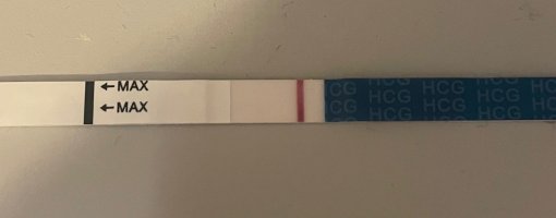 B8B8242F-525A-4765-9349-6FF59C17029F.jpeg B8B8242F-525A-4765-9349-6FF59C17029F.jpeg