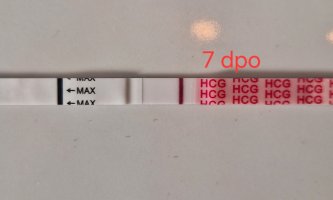 20250901_085333.jpg 20250901_085333.jpg