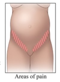 IMG_6517.jpeg IMG_6517.jpeg