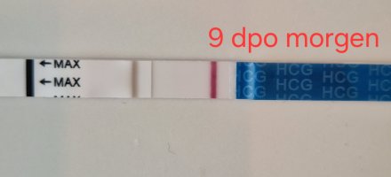 20250903_113149.jpg 20250903_113149.jpg