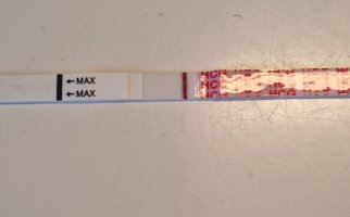 20250620_161743.jpg 20250620_161743.jpg