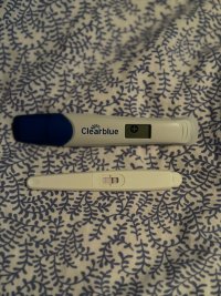 IMG_4485.jpeg IMG_4485.jpeg