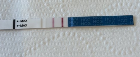 IMG_6162.jpeg IMG_6162.jpeg