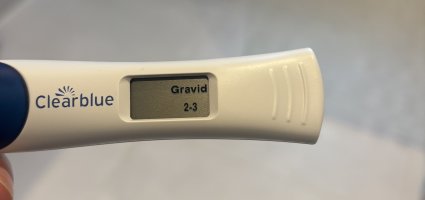 IMG_6161.jpeg IMG_6161.jpeg