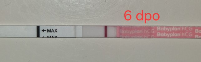 20250926_120833.jpg 20250926_120833.jpg