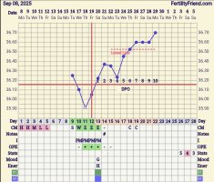 Screenshot_20250929_062801_FF App.jpg