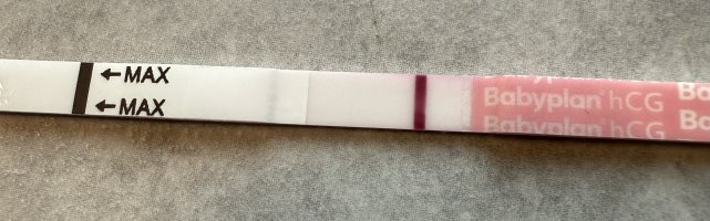 IMG_5941.jpeg IMG_5941.jpeg