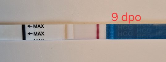 20250929_140719.jpg 20250929_140719.jpg