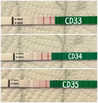 IMG_1047.jpeg IMG_1047.jpeg