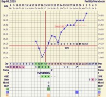 Screenshot_20251002_062421_FF App.jpg