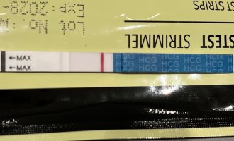 IMG_0596.jpeg IMG_0596.jpeg