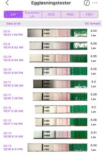 IMG_6104.jpeg IMG_6104.jpeg