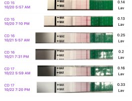 IMG_6169.jpeg IMG_6169.jpeg