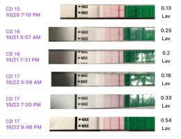 IMG_6173.jpeg IMG_6173.jpeg