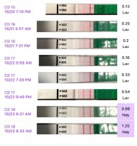 IMG_6177.jpeg IMG_6177.jpeg
