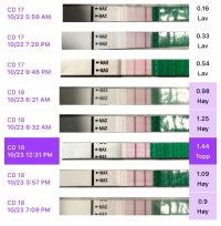 IMG_6192.jpeg IMG_6192.jpeg