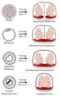 IMG_1020.png IMG_1020.png