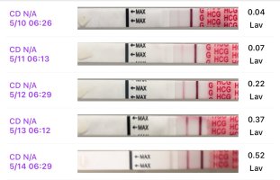 IMG_8681.jpeg IMG_8681.jpeg