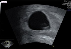 Screenshot_20251030_102756_Samsung Internet.jpg