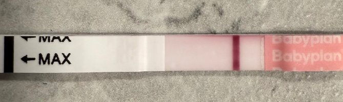 IMG_6282.jpeg IMG_6282.jpeg