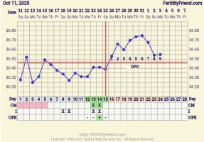 Screenshot_20251103_075503_FF App.jpg