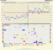 Screenshot_20251103_094210_FF App.jpg Screenshot_20251103_094210_FF App.jpg