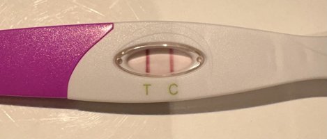 IMG_4028.jpeg IMG_4028.jpeg