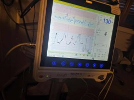 Messenger_creation_EDE2CB18-25CE-4230-8C37-1C69684DABB7.jpeg Messenger_creation_EDE2CB18-25CE-4230-8C37-1C69684DABB7.jpeg