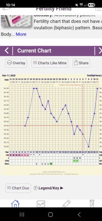 Screenshot_20251211_101418_FF App.jpg