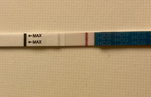 IMG_3364.jpeg IMG_3364.jpeg