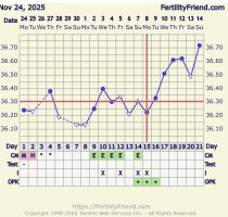 IMG_3874.jpeg IMG_3874.jpeg