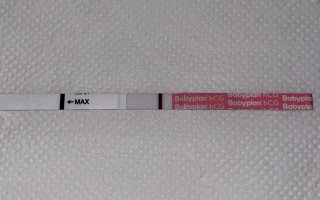 IMG_3872.jpeg IMG_3872.jpeg