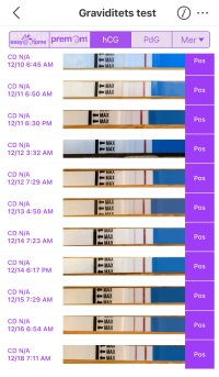 IMG_9257.jpeg IMG_9257.jpeg