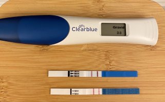 IMG_9256.jpeg IMG_9256.jpeg