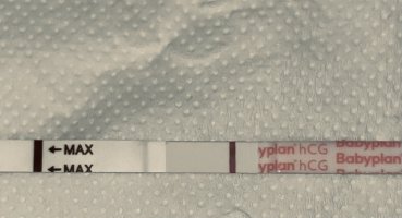 IMG_3955.jpeg IMG_3955.jpeg