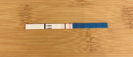 IMG_9262.jpeg IMG_9262.jpeg