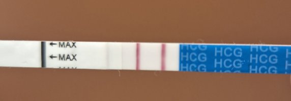 1000015211.jpg 1000015211.jpg