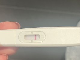 IMG_7812.jpeg IMG_7812.jpeg