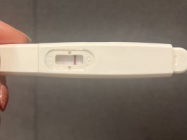 IMG_7814.jpeg IMG_7814.jpeg