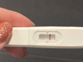 IMG_7815.jpeg IMG_7815.jpeg