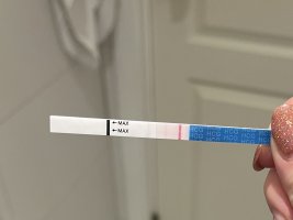 IMG_7833.jpeg IMG_7833.jpeg