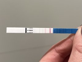 IMG_7846.jpeg IMG_7846.jpeg