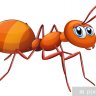 Lille maur