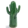 Kaktusen<3